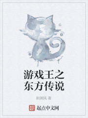 游戏王之东方传说